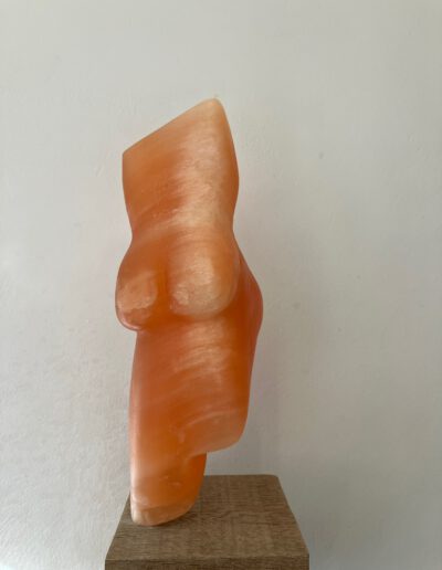 Corine de Waart - Torso