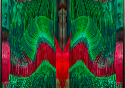 AnyWhereGreen, fotografie. Frans van Viegen 2022