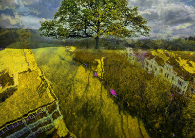 CityNatureLove , fotografie. Frans van Viegen 2023