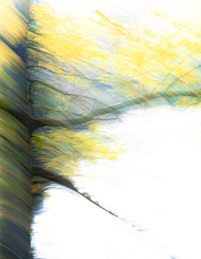 Sporen. Sophie Colpa, fotografie, 2025