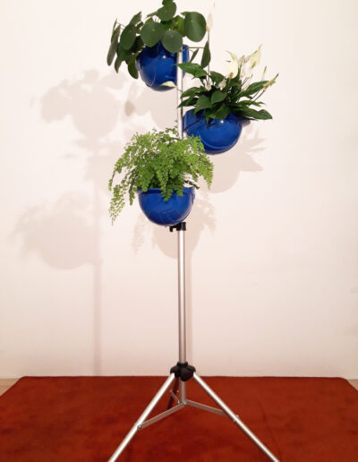 Helmplantage Statief. Marian Dessing, 2023