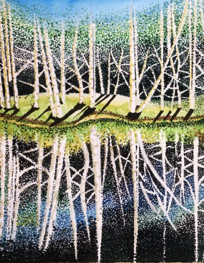 Berkenbos in Bokkenduinen. Peter Luitze