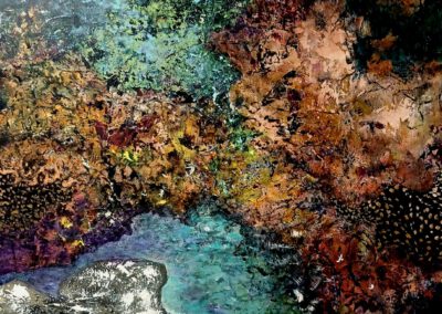 Steen, water en mysterie C. Magdalena de Coninck