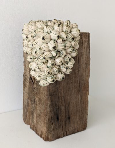Anne-France Monshouwer